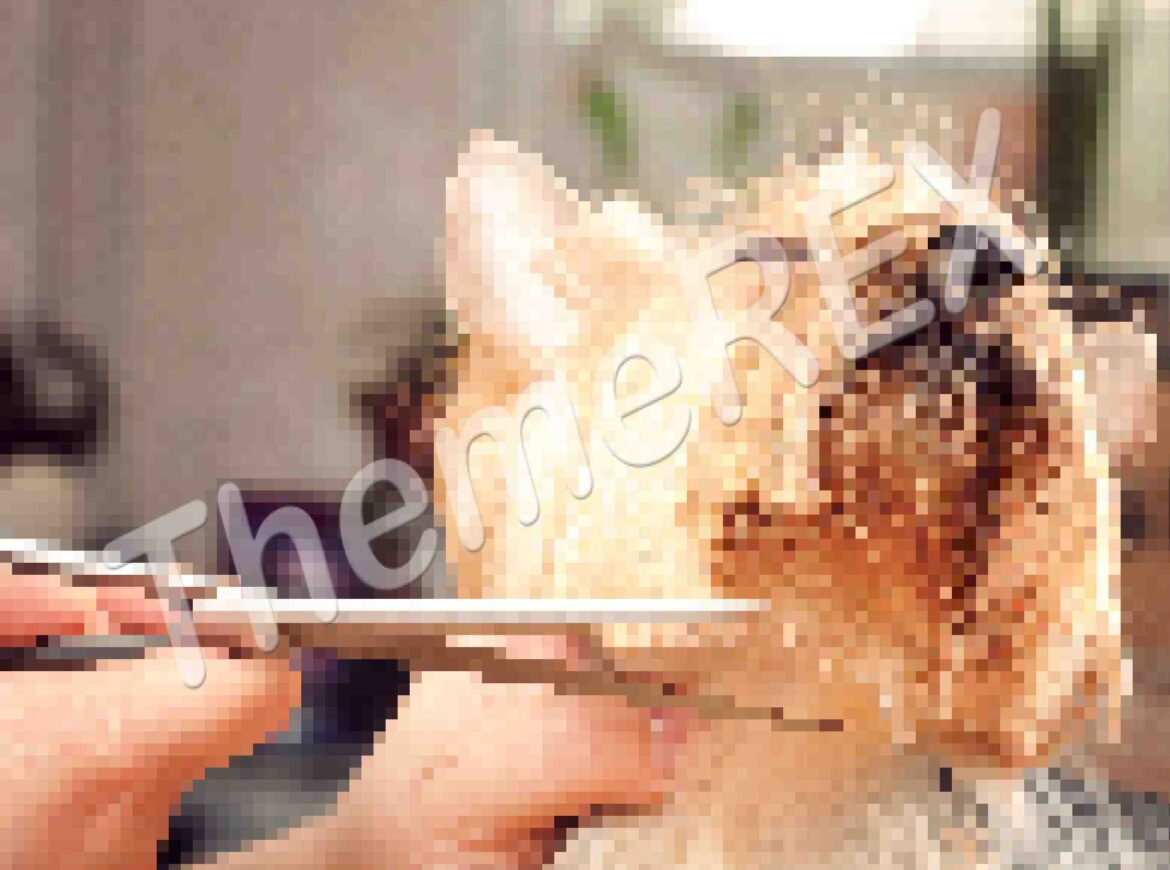 Occaecat cupidatat non