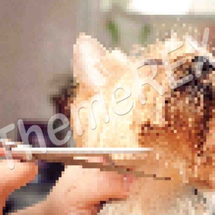 Occaecat cupidatat non