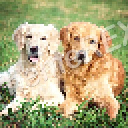 Dog Training Tips