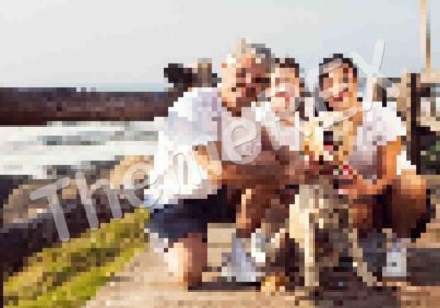 Excepteur sint occaecat